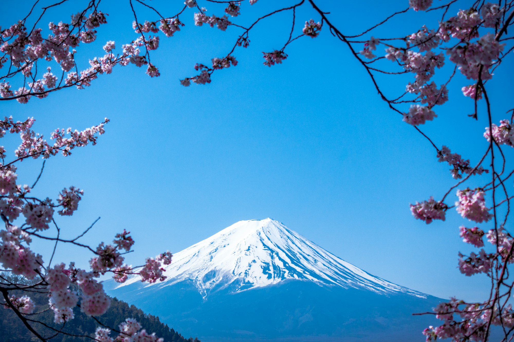 來源